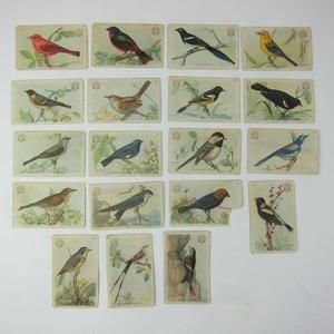 19 Victorian Trade Cards Arm & Hammer Useful Birds Third Tanager Bunting Warbler